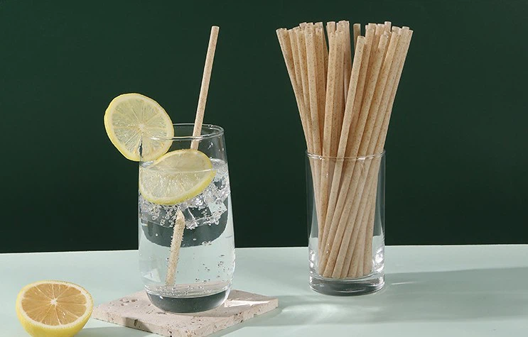 Sugarcane PLA Straw